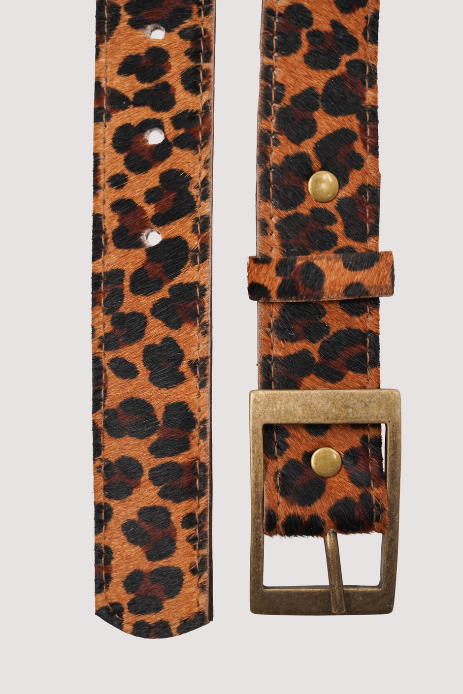 Jaguar Belt