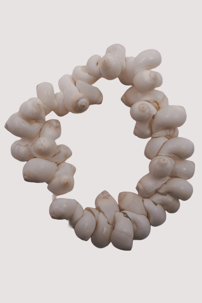 Cream Shell Anklet - desray.co.za